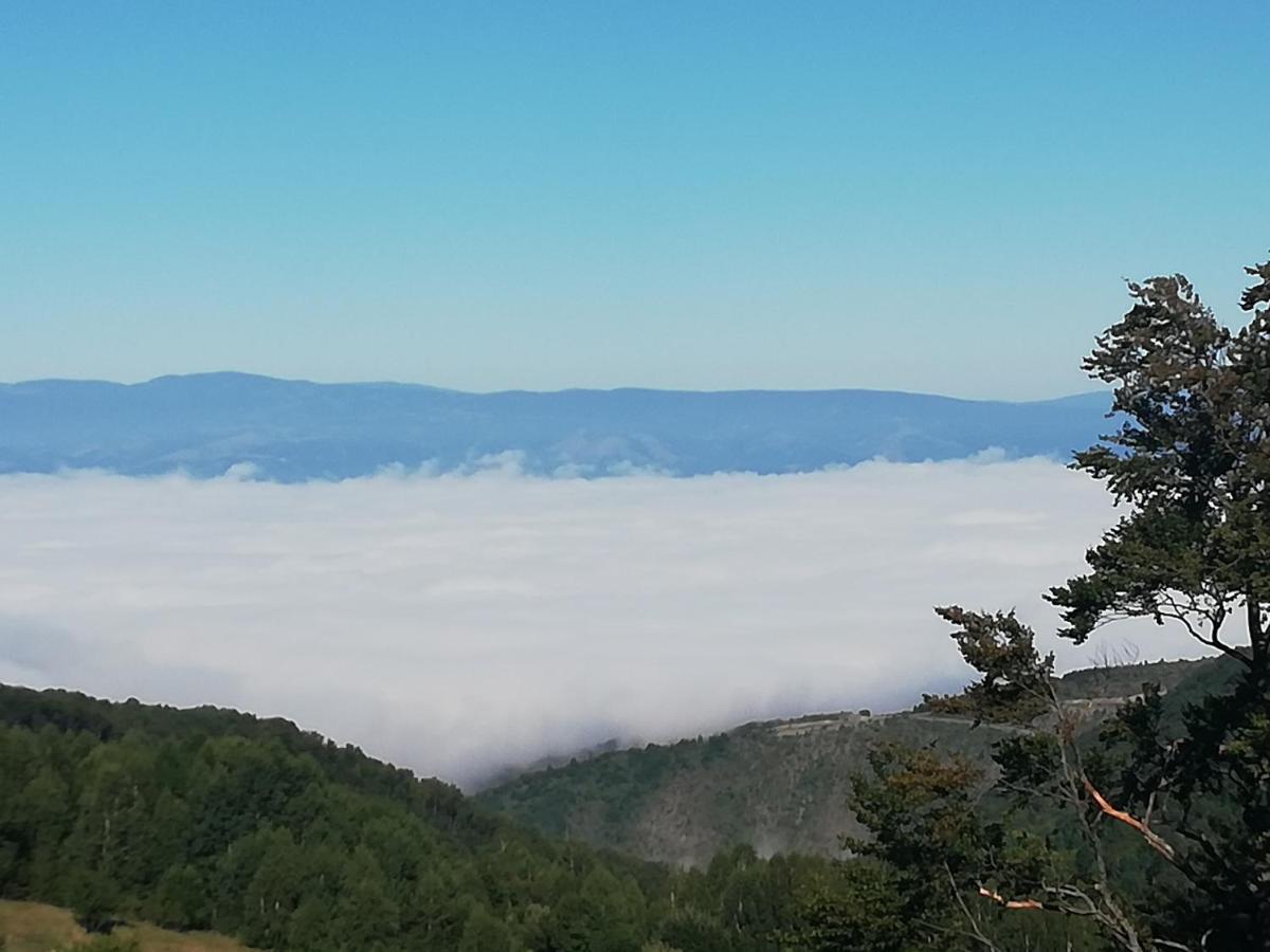 Apartman Adelfes P16, Milmari Resort Kopaonik Exteriör bild